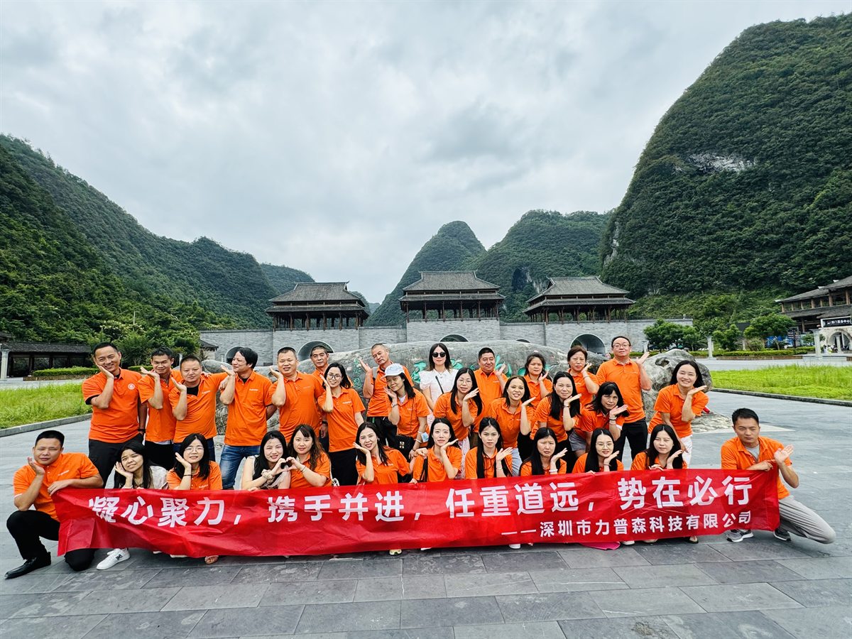 Sipolar team activity photo 03