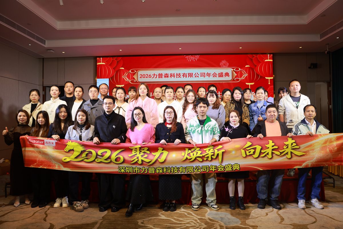 Sipolar team activity photo 05